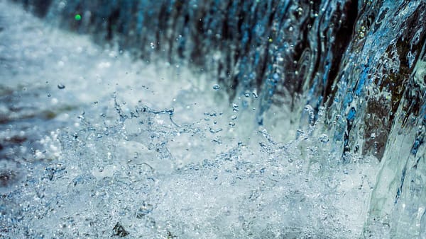 eau eau